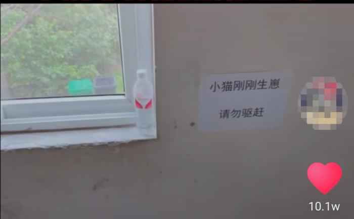 视频截图  武汉百步亭这家“月子中心”火了 网友:太暖心!