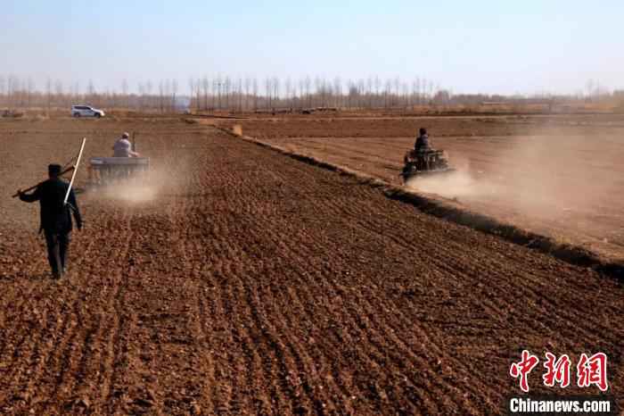 图为河套灌区春小麦开播现场。 齐鸿雁 摄  “塞外粮仓”河套灌区春小麦开播 拉开内蒙古春播序幕