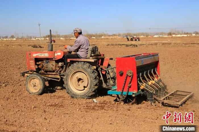 图为河套灌区春小麦开播现场。 闫巍 摄  “塞外粮仓”河套灌区春小麦开播 拉开内蒙古春播序幕